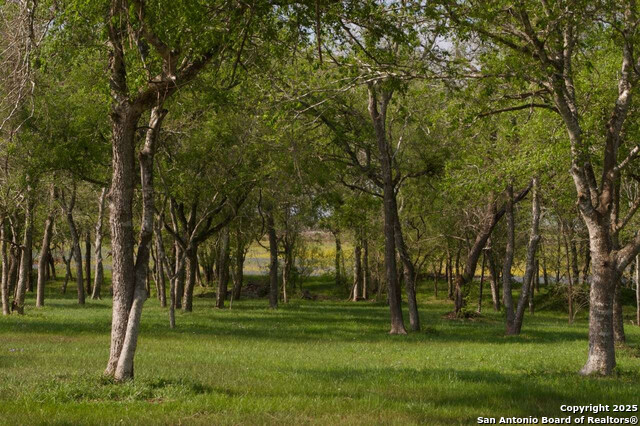 Image 6 of 6 For 1527 County Road 412