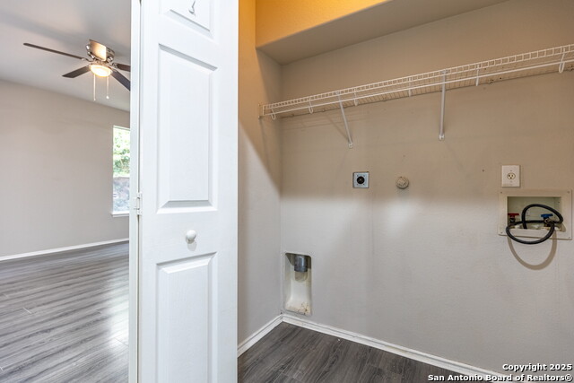 Image 25 of 32 For 6106 Briscoe Leaf