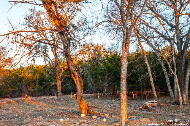 Image 15 of 20 For 327 Waring Welfare Road