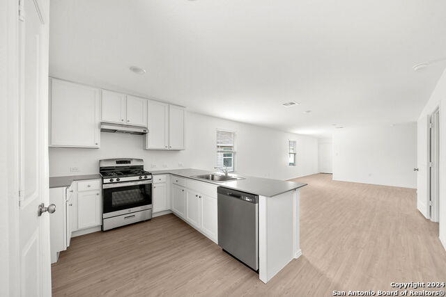 Image 11 of 26 For 719 Grey Dove