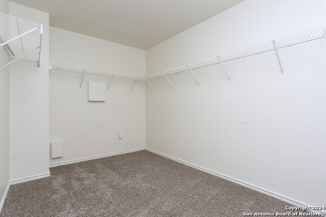 Image 14 of 23 For 7922 Horse  