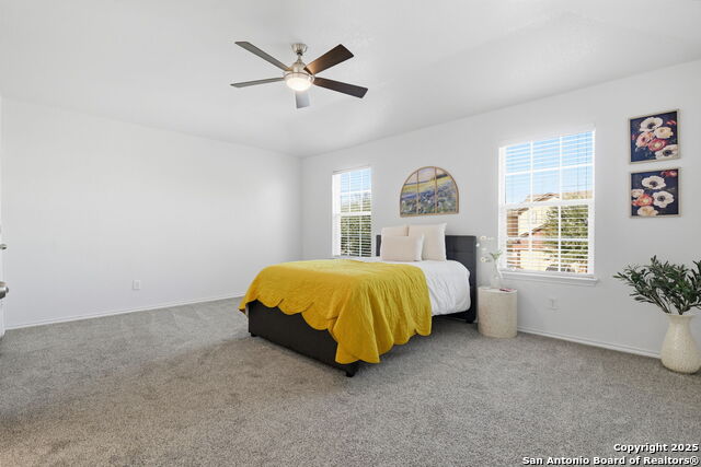 Image 16 of 24 For 8215 Radiant Star