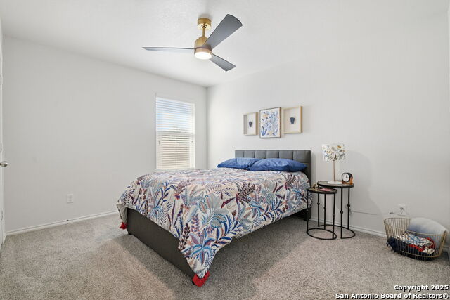 Image 19 of 24 For 8215 Radiant Star