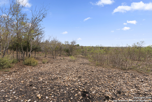 Listing photo id 2 for 479 Mostyn  