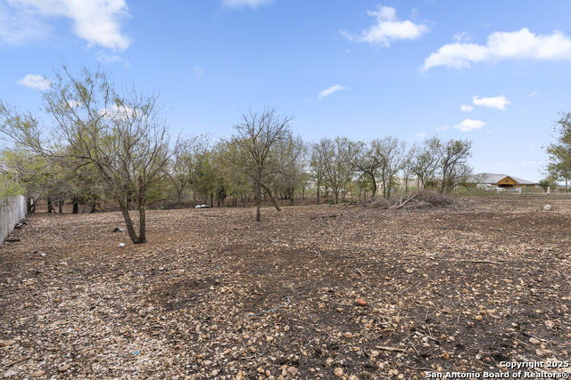 Listing photo id 3 for 479 Mostyn  