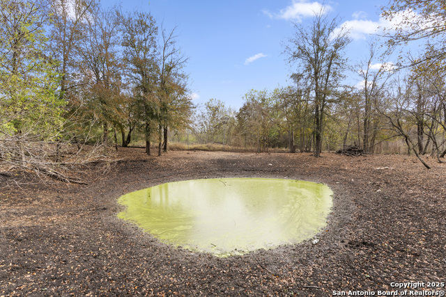 Listing photo id 4 for 479 Mostyn  