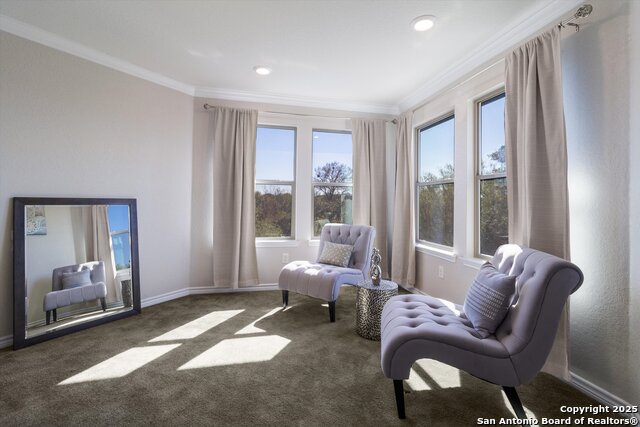 Listing photo id 19 for 11422 Turmoil Curve