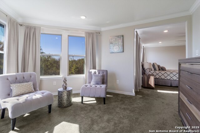 Listing photo id 20 for 11422 Turmoil Curve