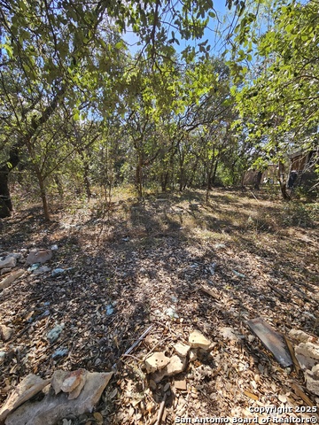 Image 11 of 19 For 1290 Tee Pee