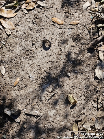 Image 7 of 19 For 1290 Tee Pee