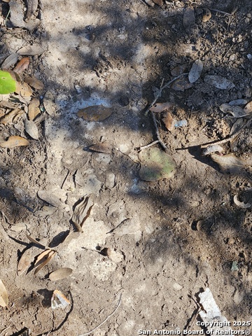 Image 8 of 19 For 1290 Tee Pee