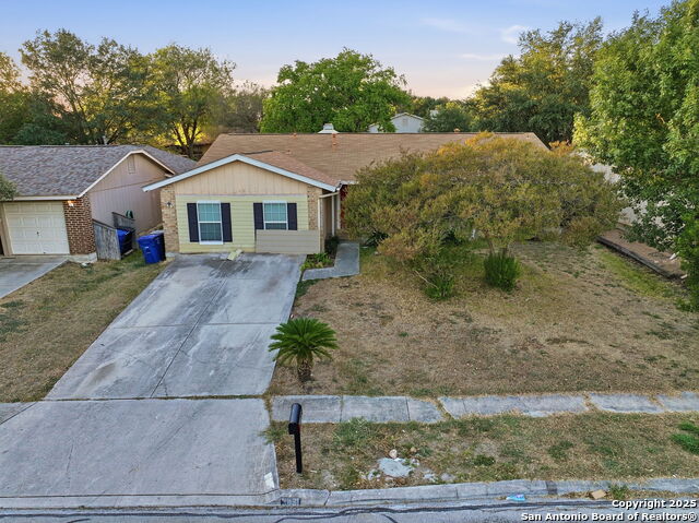 Image 26 of 29 For 5631 Wood Oak