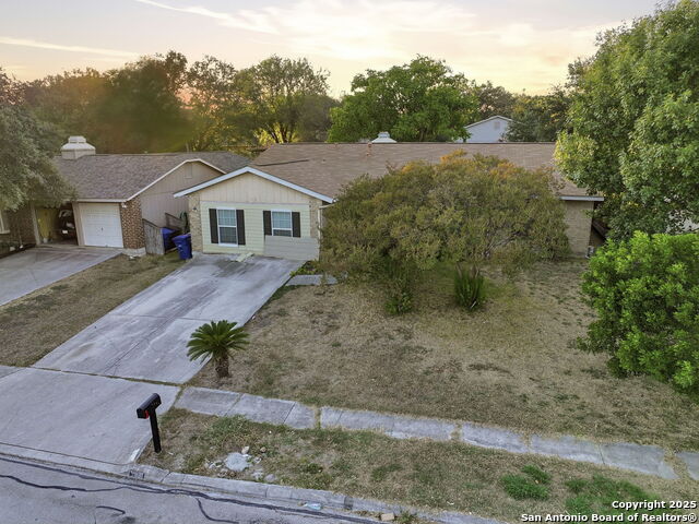 Image 27 of 29 For 5631 Wood Oak