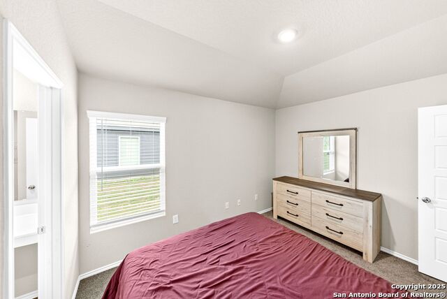 Image 15 of 26 For 19911 Wyatt Earp