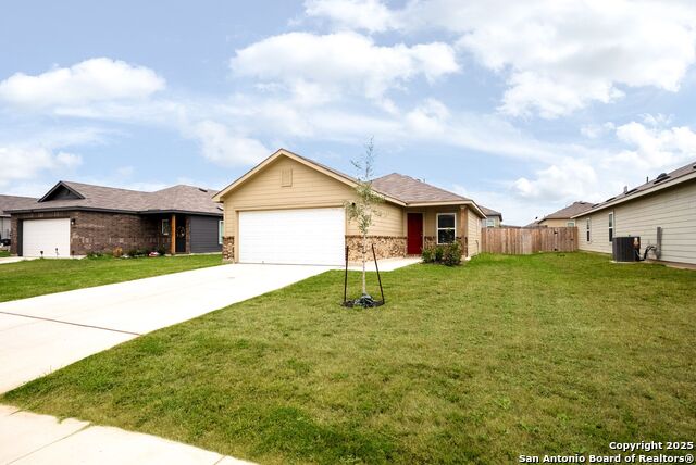 Image 3 of 26 For 19911 Wyatt Earp