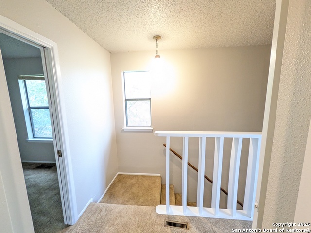 Image 8 of 14 For 330 Byrd W 2