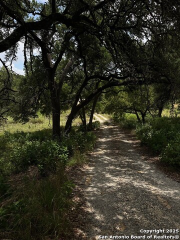 Listing photo id 0 for 3520 & 3524 Comal Spgs