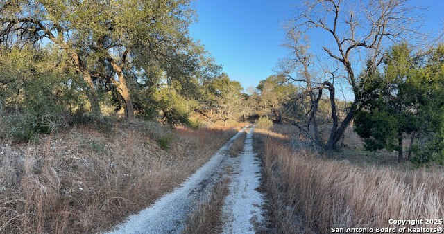 Listing photo id 4 for 3520 & 3524 Comal Spgs