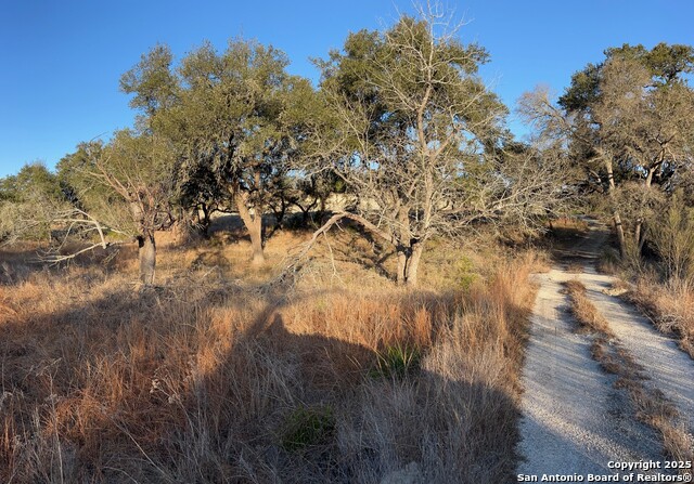 Listing photo id 5 for 3520 & 3524 Comal Spgs