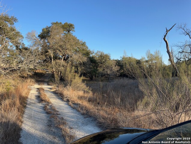 Listing photo id 6 for 3520 & 3524 Comal Spgs