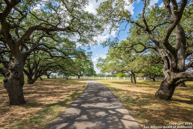 Listing photo id 25 for 2310 State Highway 97
