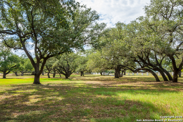Listing photo id 35 for 2310 State Highway 97