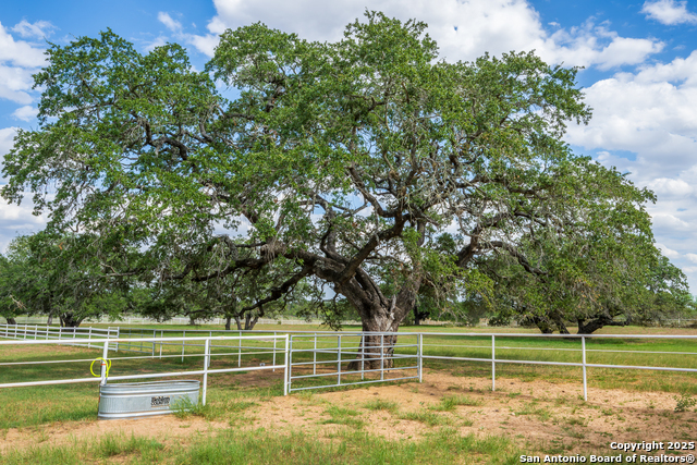 Listing photo id 37 for 2310 State Highway 97