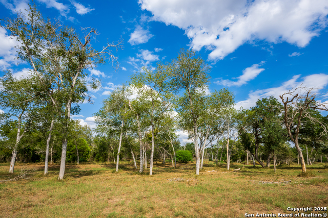 Listing photo id 43 for 2310 State Highway 97