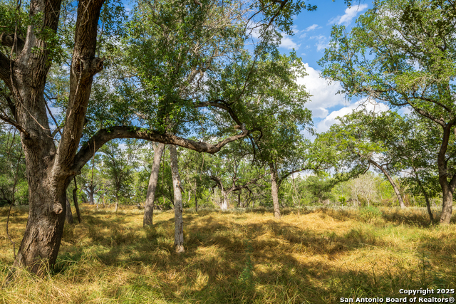 Listing photo id 44 for 2310 State Highway 97