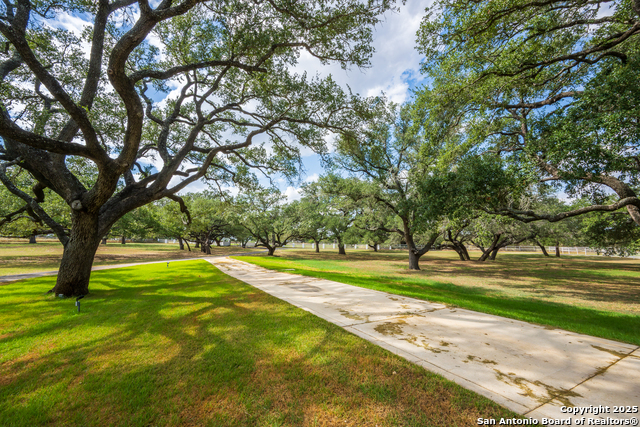 Listing photo id 4 for 2310 State Highway 97