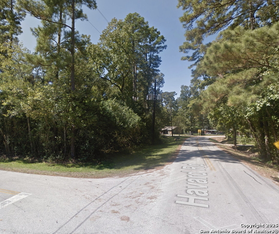 Image 3 of 8 For 0 Havard  