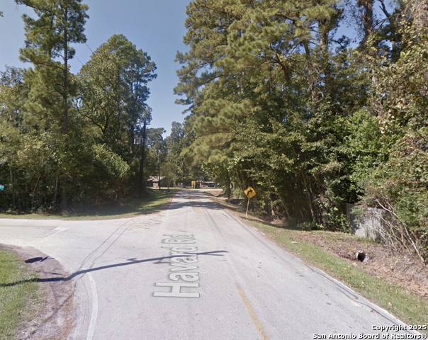 Image 4 of 8 For 0 Havard  