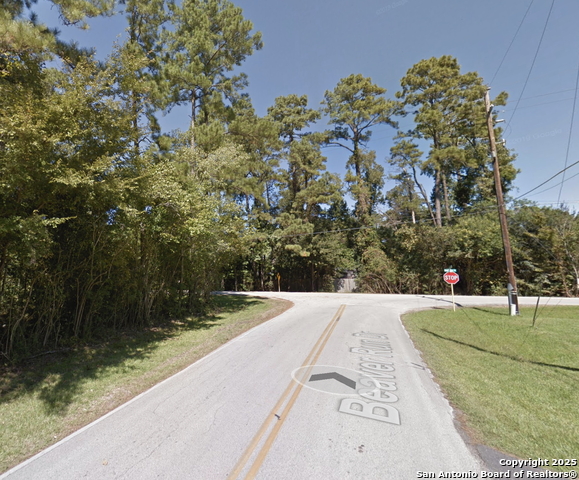 Image 5 of 8 For 0 Havard  