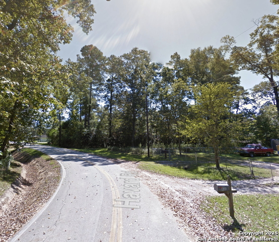 Image 7 of 8 For 0 Havard  