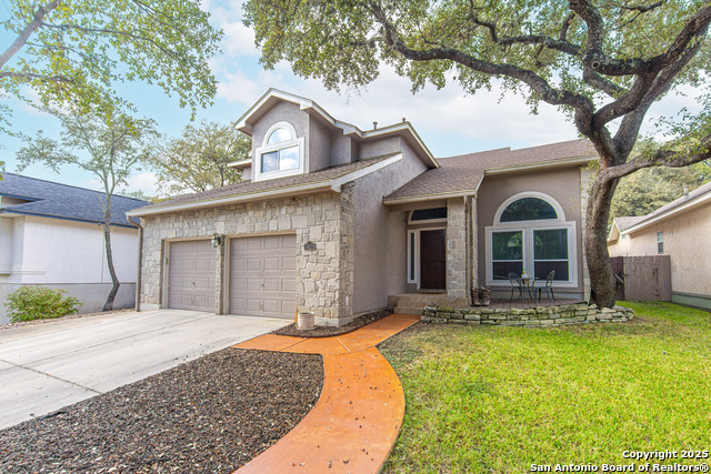 Image 2 of 19 For 17 Niram  