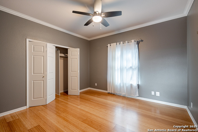 Image 5 of 19 For 17 Niram  