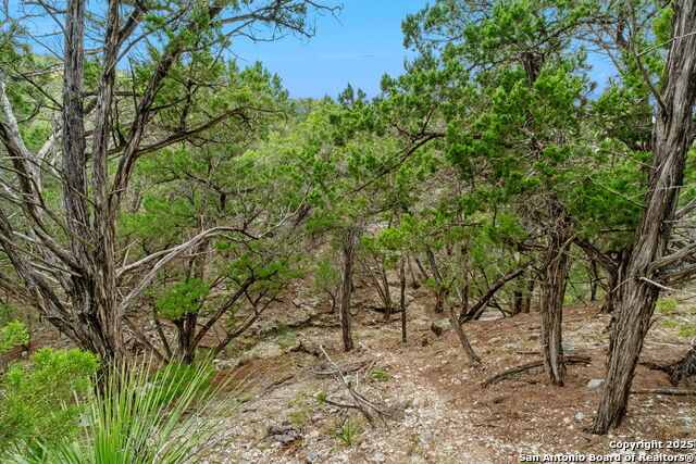 Image 41 of 49 For 411 Valley View