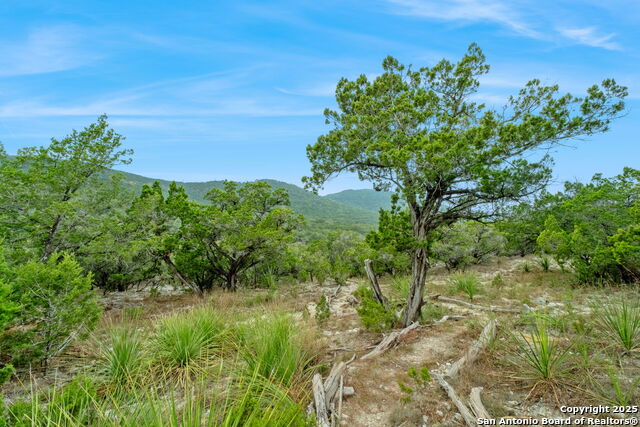 Image 47 of 49 For 411 Valley View