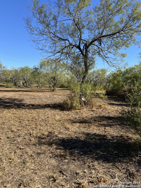 Details for 00 Mesquite And Mulberry, Jourdanton, TX 78026