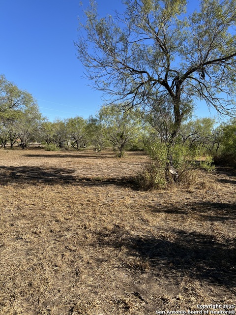 Image 2 of 7 For 00 Mesquite And Mulberry