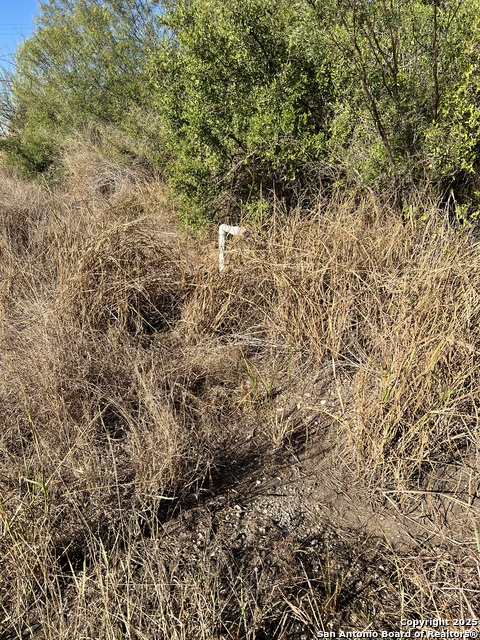Image 3 of 7 For 00 Mesquite And Mulberry