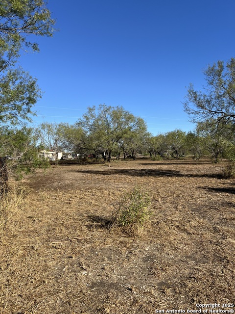 Image 4 of 7 For 00 Mesquite And Mulberry