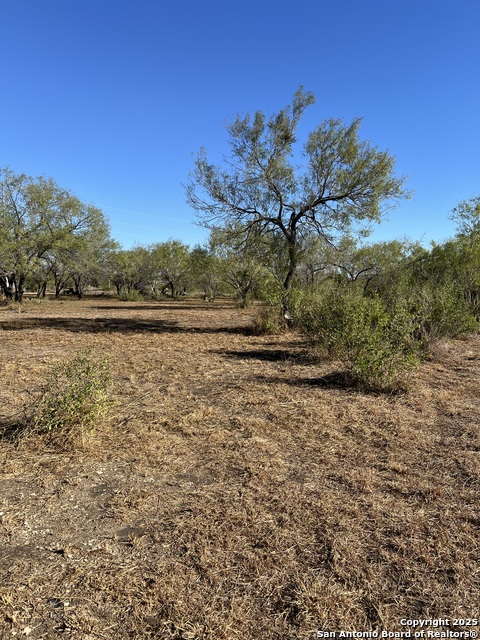Image 5 of 7 For 00 Mesquite And Mulberry