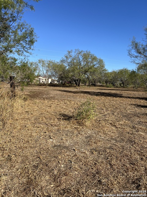 Image 6 of 7 For 00 Mesquite And Mulberry