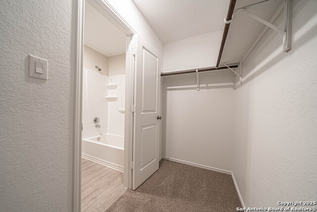 Image 17 of 27 For 2818 Gustavo