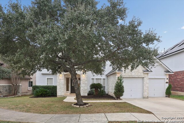 Image 3 of 35 For 24207 Bear Mtn