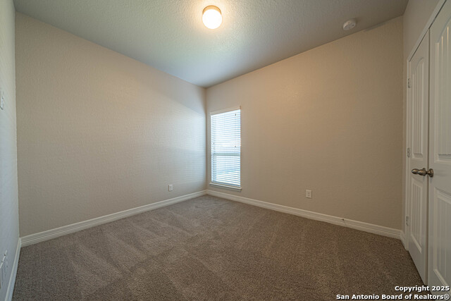 Image 16 of 43 For 1429 Catfish