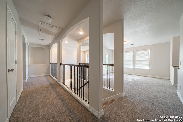 Image 22 of 43 For 1429 Catfish