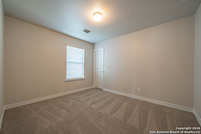 Image 24 of 43 For 1429 Catfish