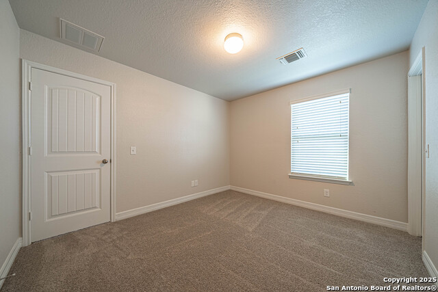 Image 25 of 43 For 1429 Catfish